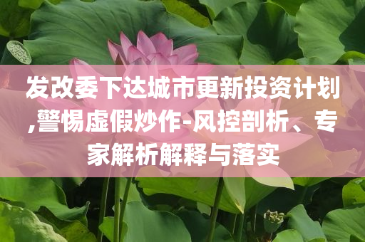 發(fā)改委下達城市更新投資計劃,警惕虛假炒作-風控剖析、專家解析解釋與落實