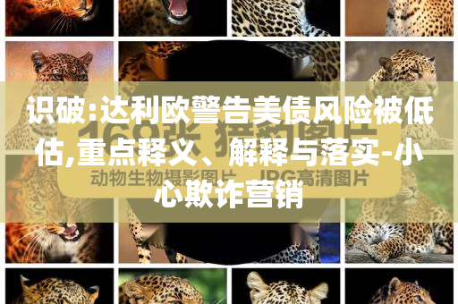 識破:達利歐警告美債風險被低估,重點釋義、解釋與落實-小心欺詐營銷