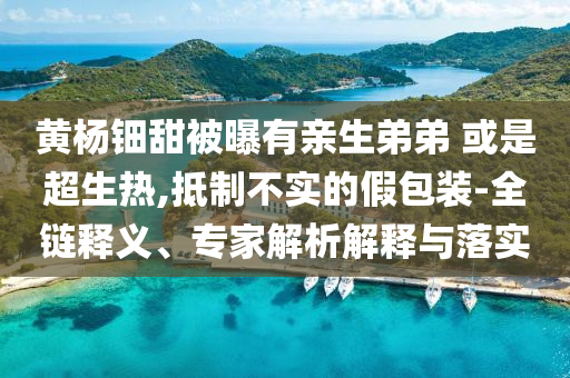 黃楊鈿甜被曝有親生弟弟 或是超生熱,抵制不實的假包裝-全鏈釋義、專家解析解釋與落實