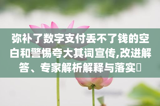 彌補了數(shù)字支付丟不了錢的空白和警惕夸大其詞宣傳,改進解答、專家解析解釋與落實?