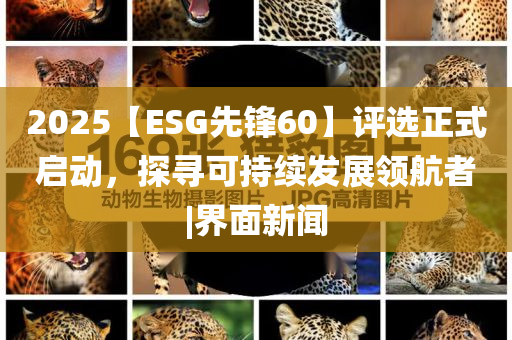 2025【ESG先鋒60】評選正式啟動，探尋可持續(xù)發(fā)展領(lǐng)航者|界面新聞