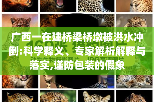 廣西一在建橋梁橋墩被洪水沖倒:科學(xué)釋義、專家解析解釋與落實,謹(jǐn)防包裝的假象