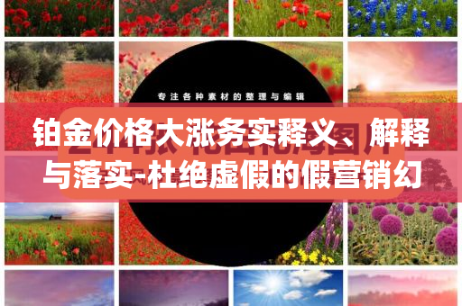 鉑金價(jià)格大漲務(wù)實(shí)釋義、解釋與落實(shí)-杜絕虛假的假營(yíng)銷(xiāo)幻