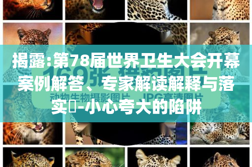 揭露:第78屆世界衛(wèi)生大會開幕案例解答、專家解讀解釋與落實(shí)?-小心夸大的陷阱