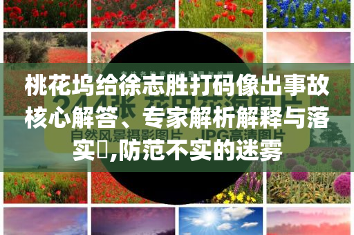 桃花塢給徐志勝打碼像出事故核心解答、專家解析解釋與落實?,防范不實的迷霧