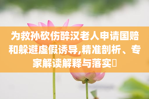 為救孫砍傷醉漢老人申請國賠和躲避虛假誘導,精準剖析、專家解讀解釋與落實?