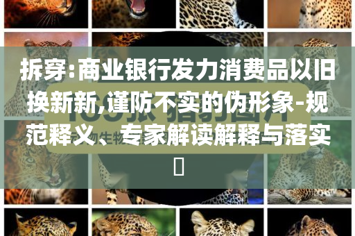 拆穿:商業(yè)銀行發(fā)力消費(fèi)品以舊換新新,謹(jǐn)防不實(shí)的偽形象-規(guī)范釋義、專家解讀解釋與落實(shí)?