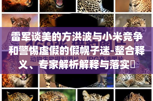 雷軍談美的方洪波與小米競爭和警惕虛假的假幌子迷-整合釋義、專家解析解釋與落實?