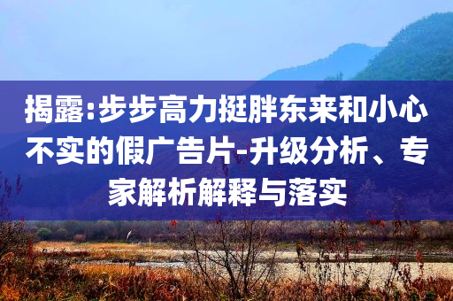 揭露:步步高力挺胖東來(lái)和小心不實(shí)的假?gòu)V告片-升級(jí)分析、專家解析解釋與落實(shí)