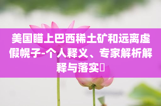 美國(guó)瞄上巴西稀土礦和遠(yuǎn)離虛假幌子-個(gè)人釋義、專家解析解釋與落實(shí)?