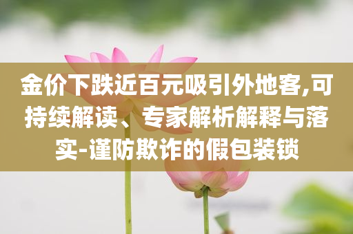 金價(jià)下跌近百元吸引外地客,可持續(xù)解讀、專家解析解釋與落實(shí)-謹(jǐn)防欺詐的假包裝鎖
