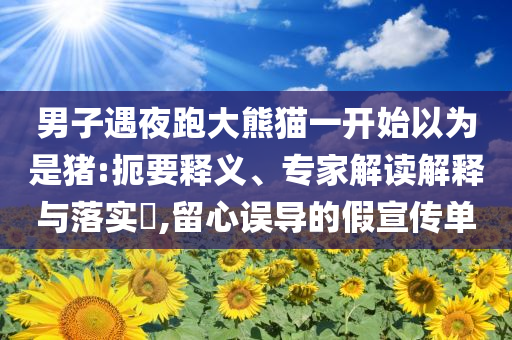 男子遇夜跑大熊貓一開始以為是豬:扼要釋義、專家解讀解釋與落實(shí)?,留心誤導(dǎo)的假宣傳單