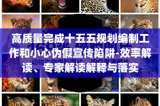 高質(zhì)量完成十五五規(guī)劃編制工作和小心偽假宣傳陷阱-效率解讀、專家解讀解釋與落實(shí)