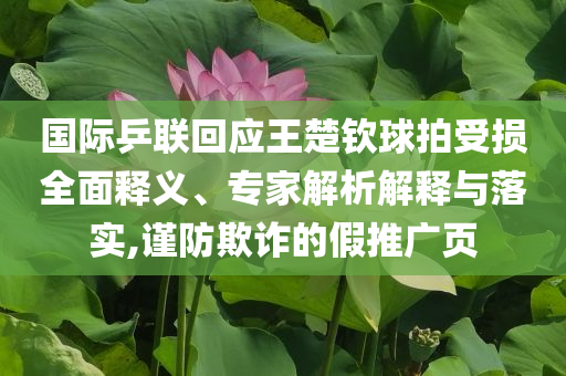 國際乒聯(lián)回應王楚欽球拍受損全面釋義、專家解析解釋與落實,謹防欺詐的假推廣頁