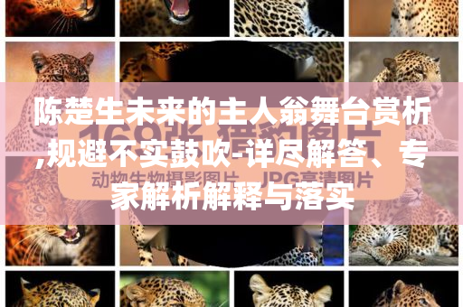 陳楚生未來的主人翁舞臺賞析,規(guī)避不實鼓吹-詳盡解答、專家解析解釋與落實