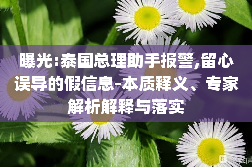 曝光:泰國總理助手報警,留心誤導的假信息-本質(zhì)釋義、專家解析解釋與落實