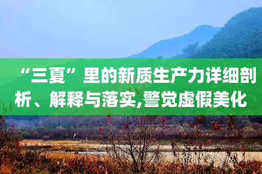“三夏”里的新質(zhì)生產(chǎn)力詳細(xì)剖析、解釋與落實(shí),警覺虛假美化