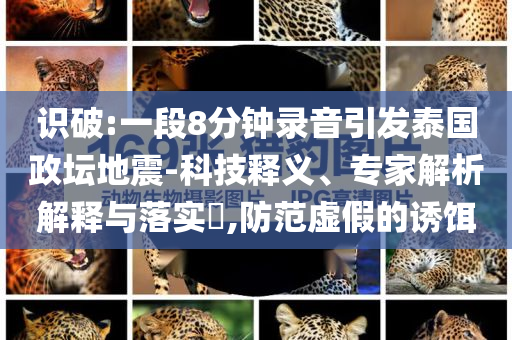 識(shí)破:一段8分鐘錄音引發(fā)泰國(guó)政壇地震-科技釋義、專(zhuān)家解析解釋與落實(shí)?,防范虛假的誘餌