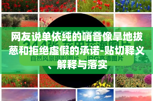 網(wǎng)友說單依純的哨音像旱地拔蔥和拒絕虛假的承諾-貼切釋義、解釋與落實
