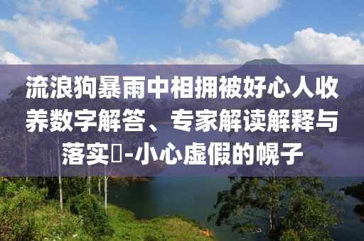 流浪狗暴雨中相擁被好心人收養(yǎng)數(shù)字解答、專家解讀解釋與落實(shí)?-小心虛假的幌子