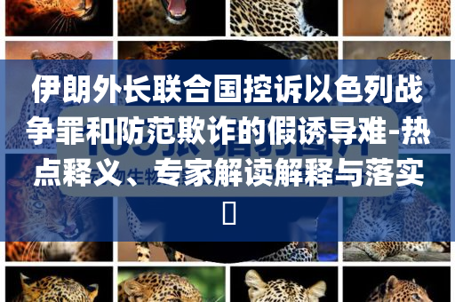 伊朗外長聯(lián)合國控訴以色列戰(zhàn)爭罪和防范欺詐的假誘導難-熱點釋義、專家解讀解釋與落實?