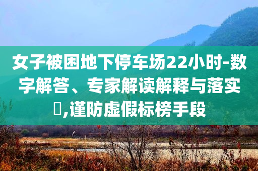 女子被困地下停車場22小時-數(shù)字解答、專家解讀解釋與落實?,謹(jǐn)防虛假標(biāo)榜手段