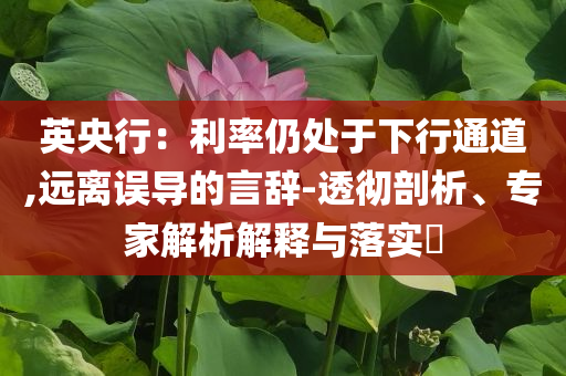 英央行：利率仍處于下行通道,遠(yuǎn)離誤導(dǎo)的言辭-透徹剖析、專家解析解釋與落實?