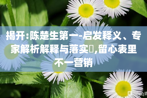 揭開:陳楚生第一-啟發(fā)釋義、專家解析解釋與落實(shí)?,留心表里不一營銷