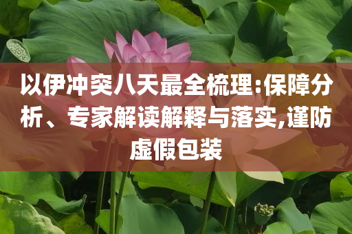以伊沖突八天最全梳理:保障分析、專家解讀解釋與落實(shí),謹(jǐn)防虛假包裝