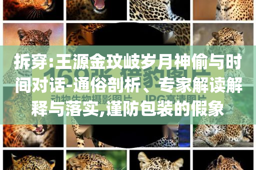 拆穿:王源金玟岐歲月神偷與時間對話-通俗剖析、專家解讀解釋與落實,謹防包裝的假象